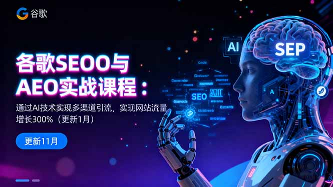 谷歌SEO与AEO实战课程：通过AI技术实现多渠道引流，实现网站流量增长300%-HEIXXXMI