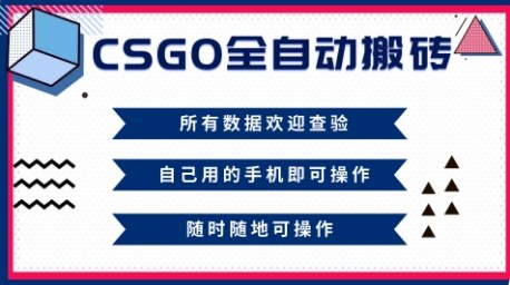 CSGO全自动搬砖，年底钱回家好项目，当天可拿到结果，新手小白轻松月入1W+【揭秘】-HEIXXXMI