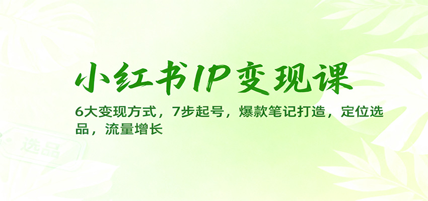 小红书IP变现课：6大变现方式，7步起号，爆款笔记打造，定位选品，流量增长-HEIXXXMI
