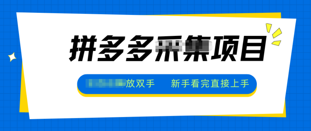 拼多多电商采集，一小时50+，操作简单，零投资-HEIXXXMI