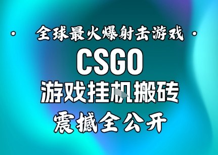【年底大揭秘】基于全球最火爆的射击CSGO游戏挂G搬砖，日入5张+，震撼公开-HEIXXXMI