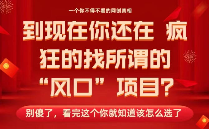马上26年了，你还在找所谓的风口项目？别傻了，看完这个你全都懂了！【揭秘】-HEIXXXMI