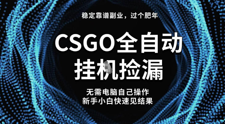 【稳定副业】全球最热门游戏CSGO全自动捡漏，最新玩法，新手小白日入5张+【揭秘】-HEIXXXMI