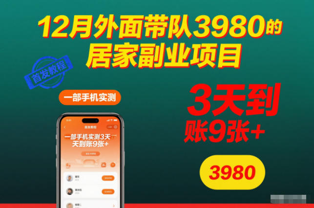 12月外面带队3980的居家副业项目，一部手机实测3天到账9张+，首发教程【揭秘】-HEIXXXMI