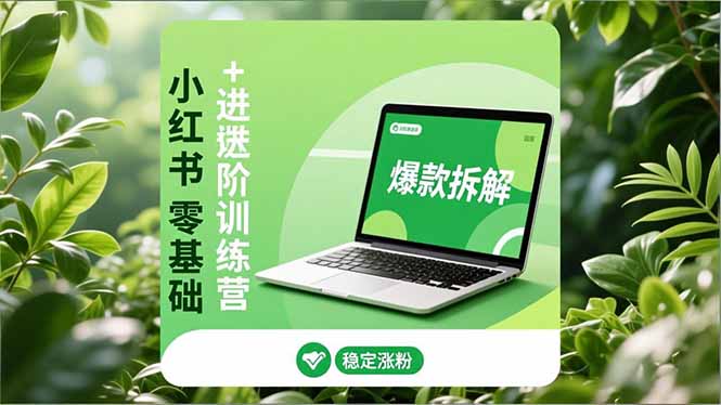 小红书零基础+高阶训练营：安全养号、爆款拆解、长效运营，实现稳定涨粉与变现-HEIXXXMI