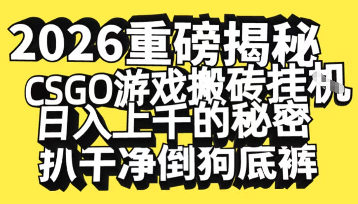 2026开年重磅解密，CSGO游戏搬砖挂G日入1k+的秘密，把倒狗的底裤扒干【揭秘】-HEIXXXMI
