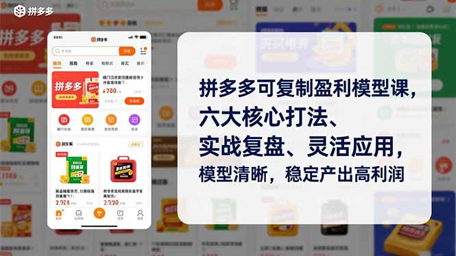 拼多多可复制盈利模型课，六大核心打法、实战复盘、灵活应用，模型清晰，稳定产出高利润-HEIXXXMI